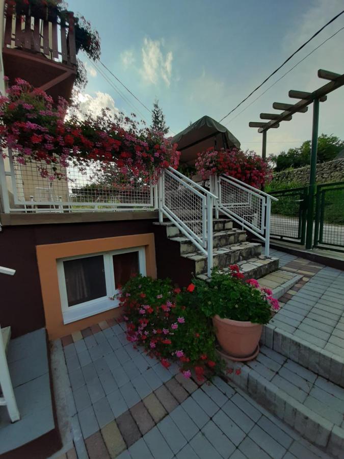 Bed and Breakfast Rozsakert Vendeghaz Szigliget Exterior foto