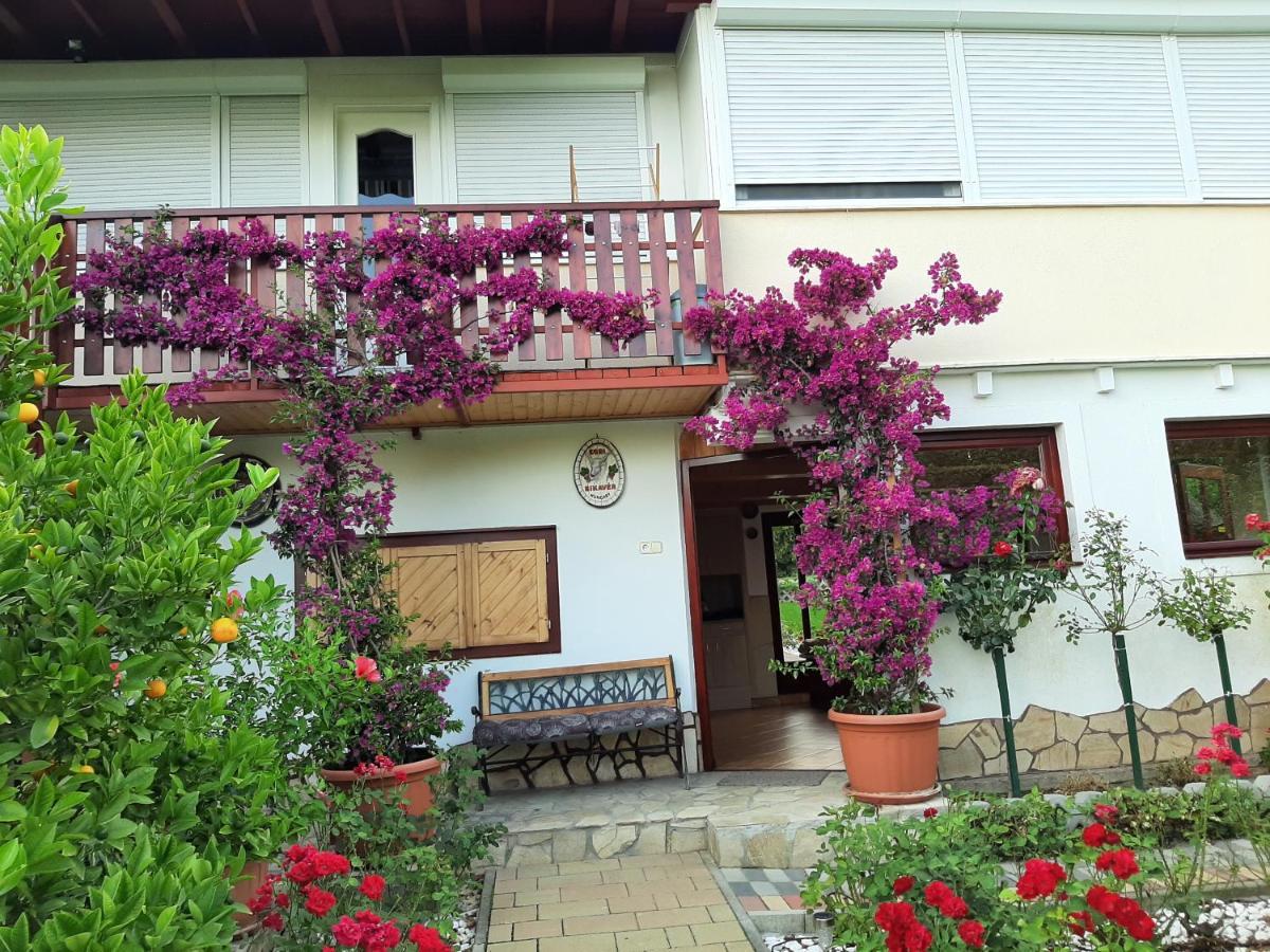 Bed and Breakfast Rozsakert Vendeghaz Szigliget Exterior foto