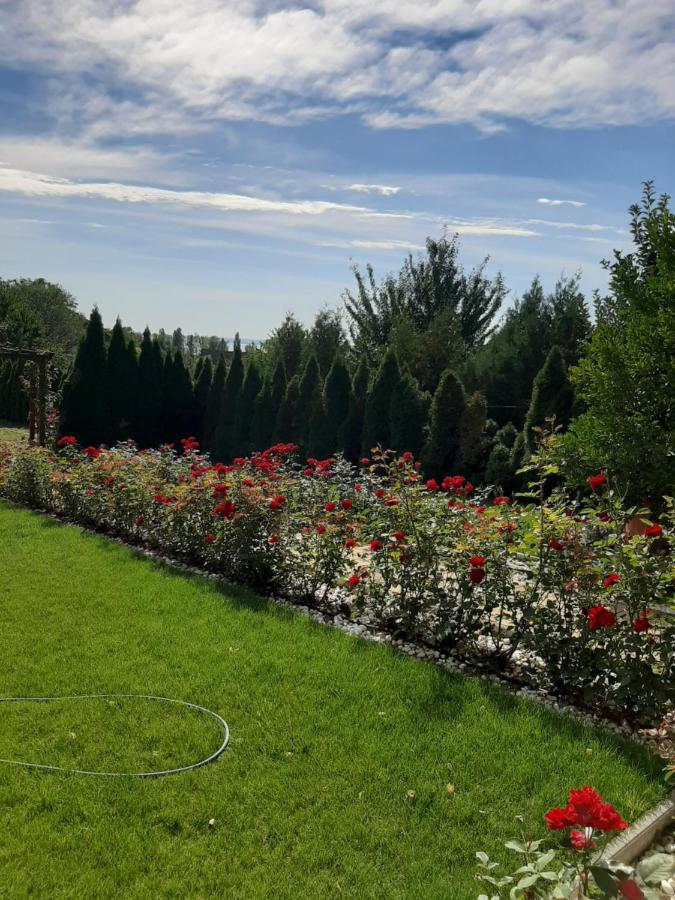 Bed and Breakfast Rozsakert Vendeghaz Szigliget Exterior foto