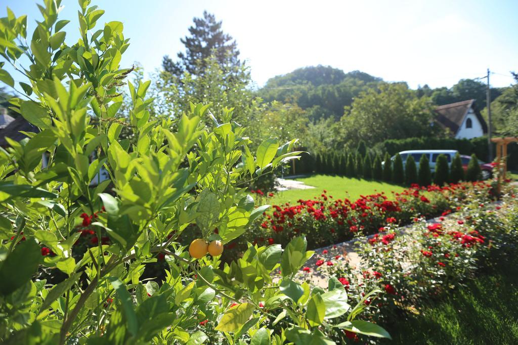 Bed and Breakfast Rozsakert Vendeghaz Szigliget Exterior foto